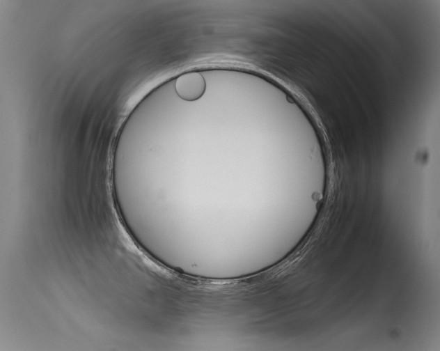X0000115621390200911101046