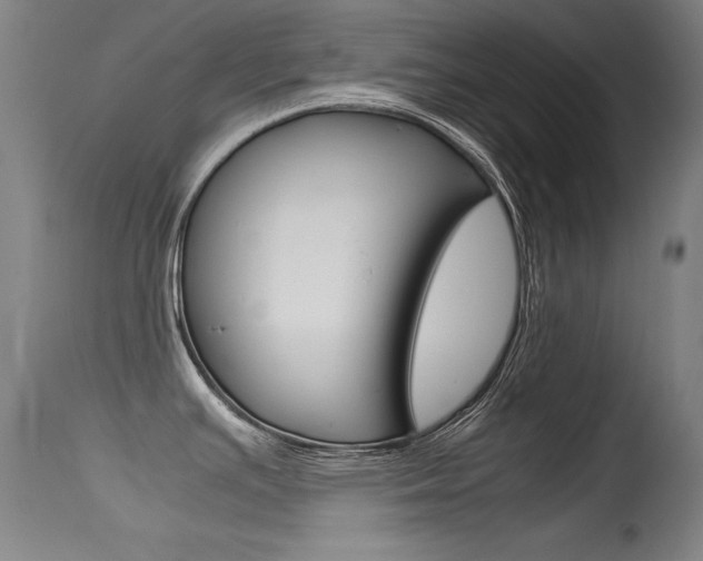 X0000115621391200911101046