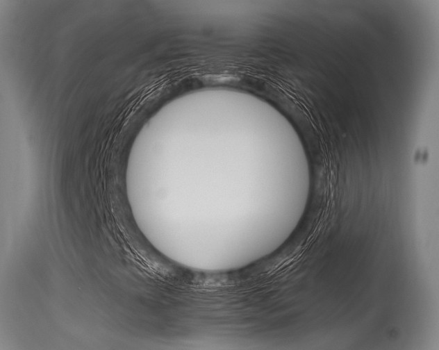 X0000115621393200911101045