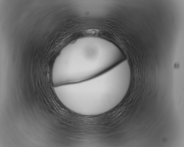 X0000115621394200911101045