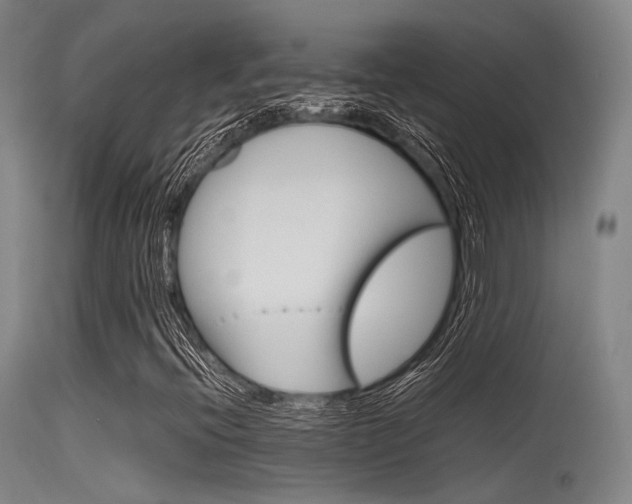 X0000115621396200911101045