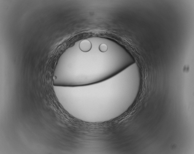 X0000115621398200911101045