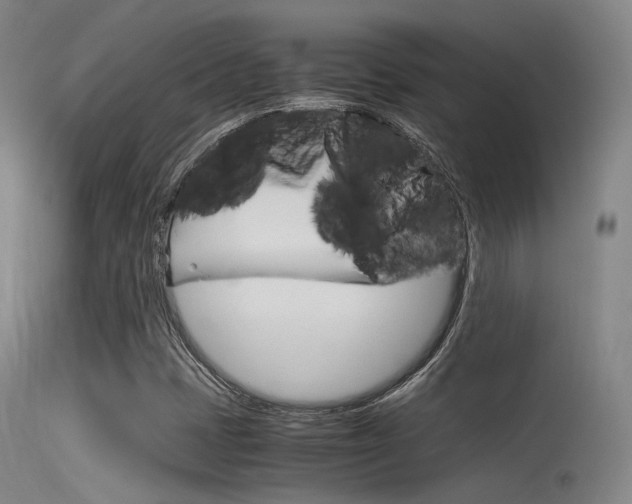 X0000115621401200911101045