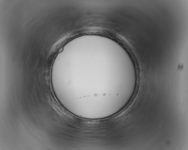 X0000115621403200911101045