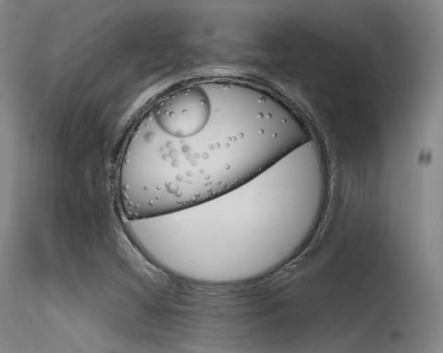 X0000115621404200911101045