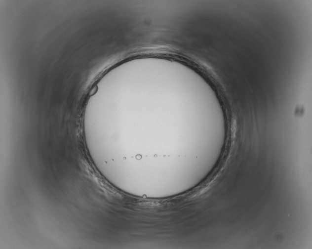 X0000115621405200911101045