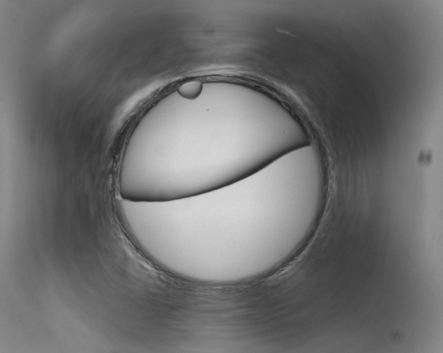 X0000115621406200911101045