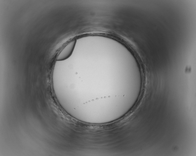 X0000115621407200911101045