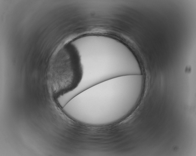X0000115621409200911101045
