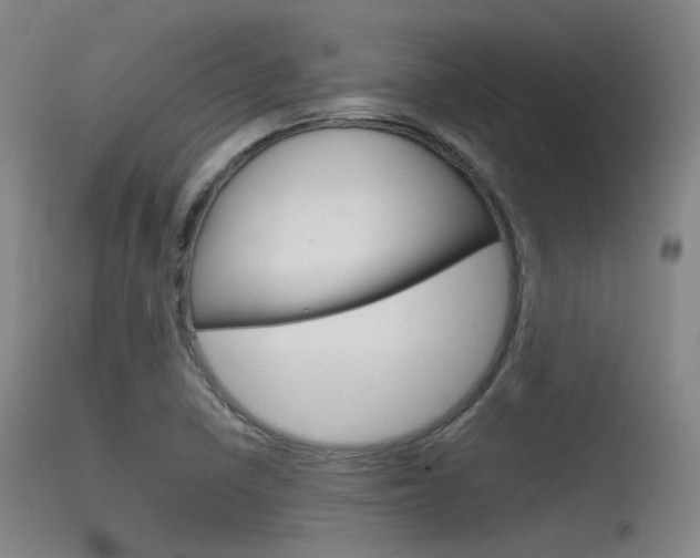 X0000115621410200911101046