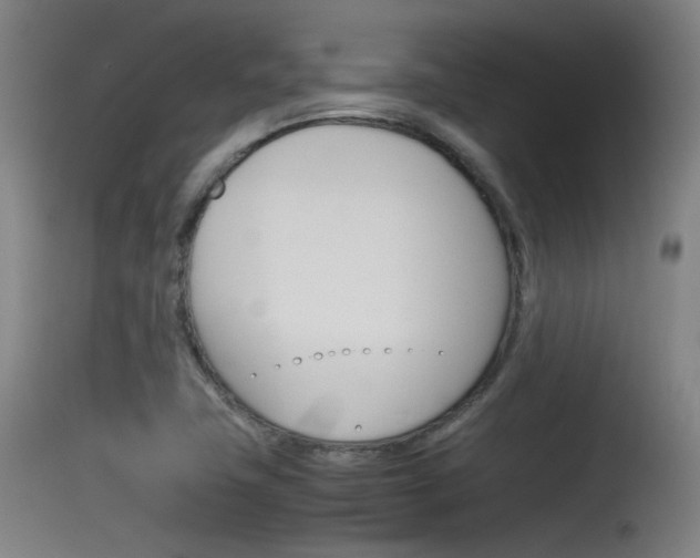 X0000115621411200911101046