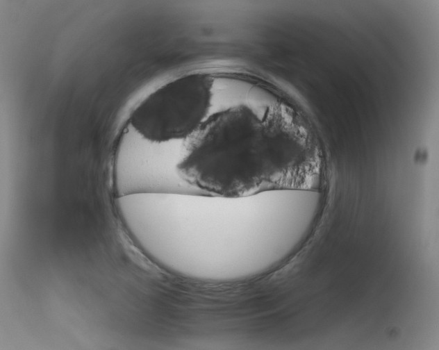 X0000115621413200911101046