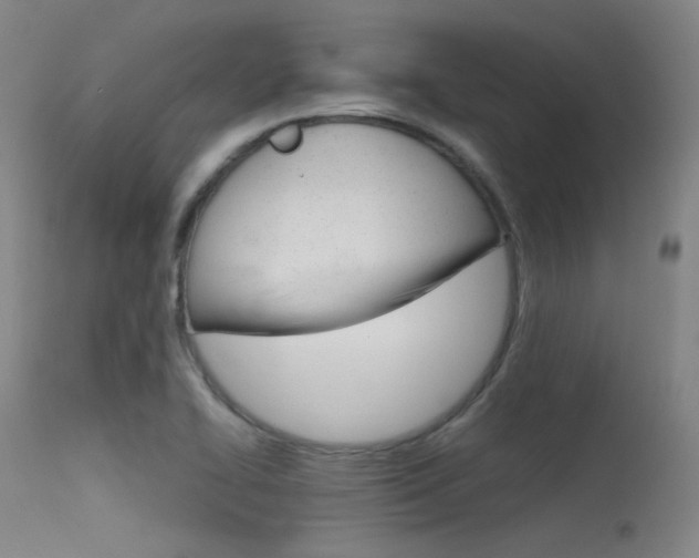 X0000115621414200911101046