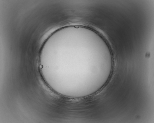 X0000115621415200911101046
