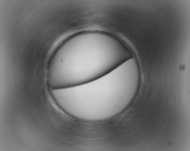 X0000115621416200911101046