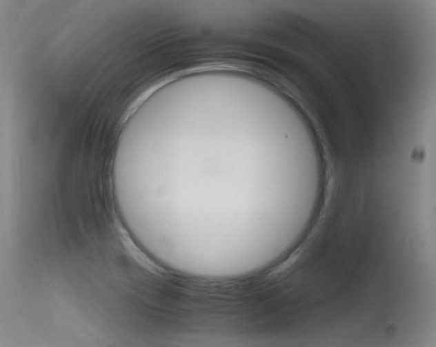 X0000115621417200911101046