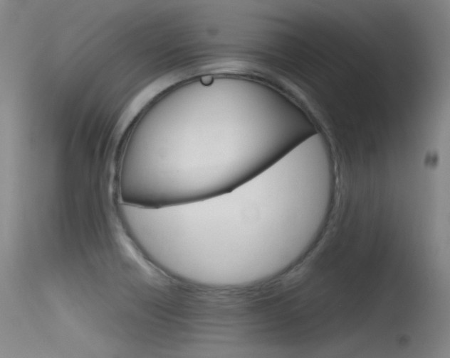 X0000115621418200911101046