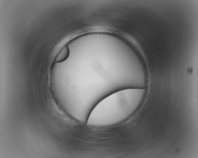 X0000115621419200911101046