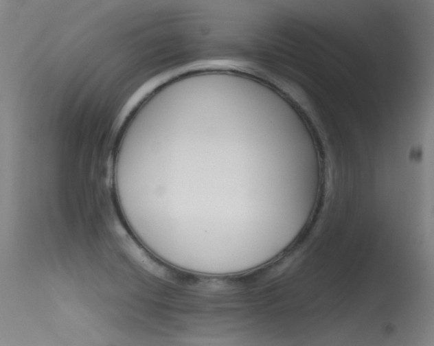 X0000115621420200911101046