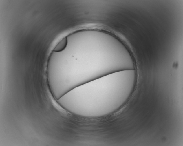 X0000115621421200911101046
