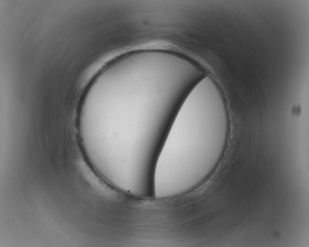 X0000115621422200911101046