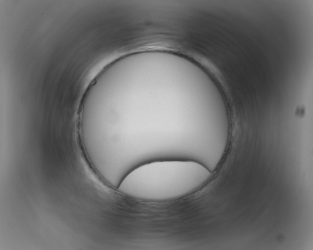 X0000115621423200911101046