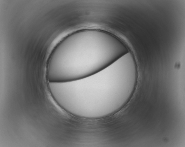 X0000115621424200911101046