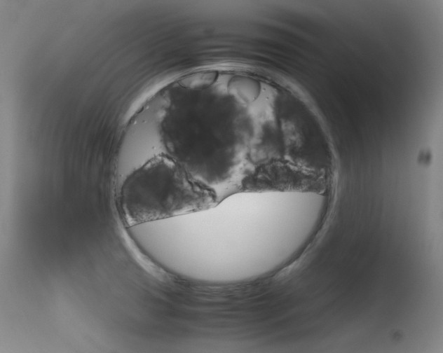X0000115621425200911101046