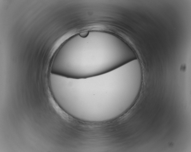 X0000115621426200911101046