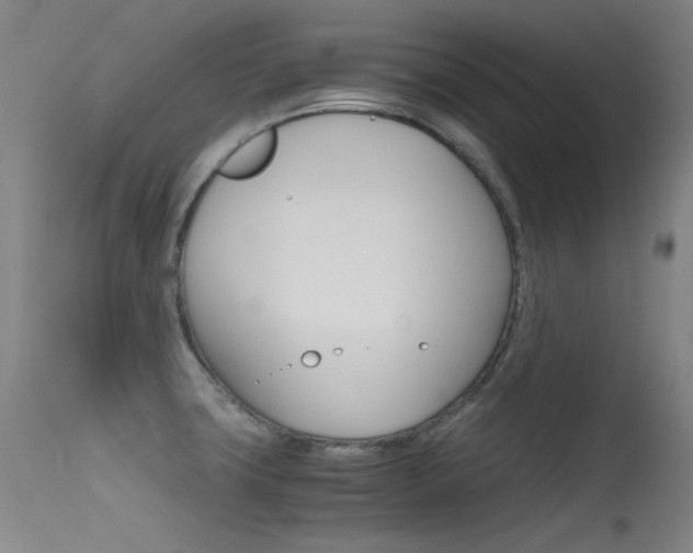 X0000115621427200911101046