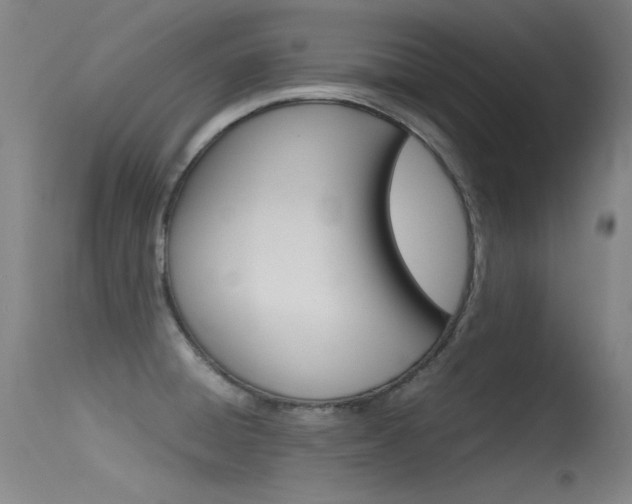X0000115621428200911101046