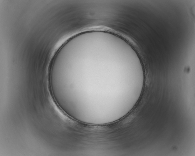 X0000115621430200911101046