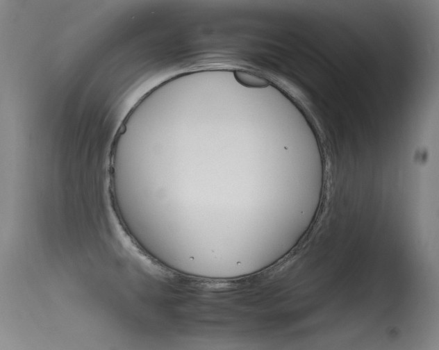 X0000115621431200911101046