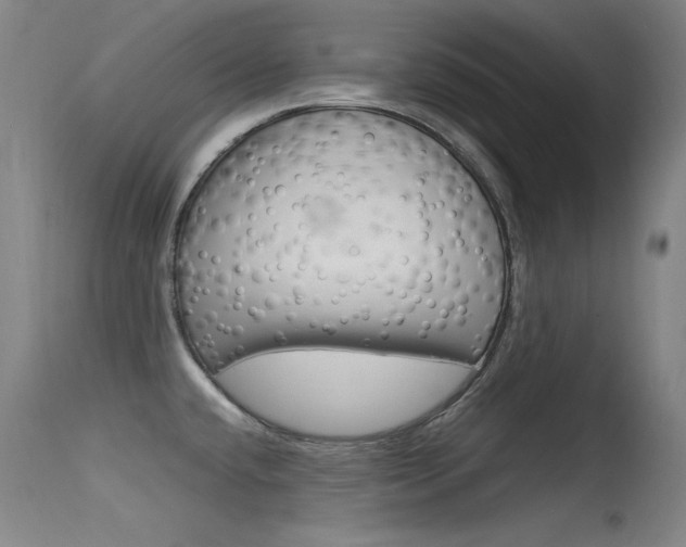 X0000115621432200911101046