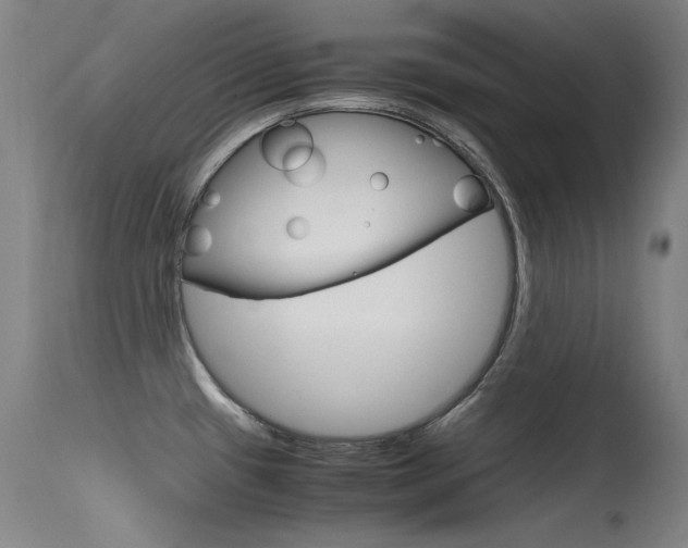 X0000115621433200911101046