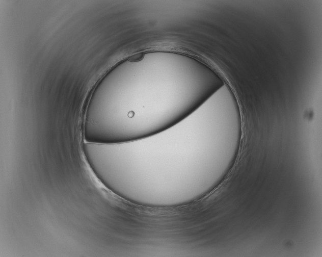 X0000115621434200911101046