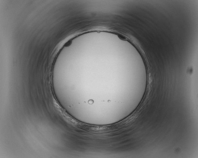 X0000115621435200911101046