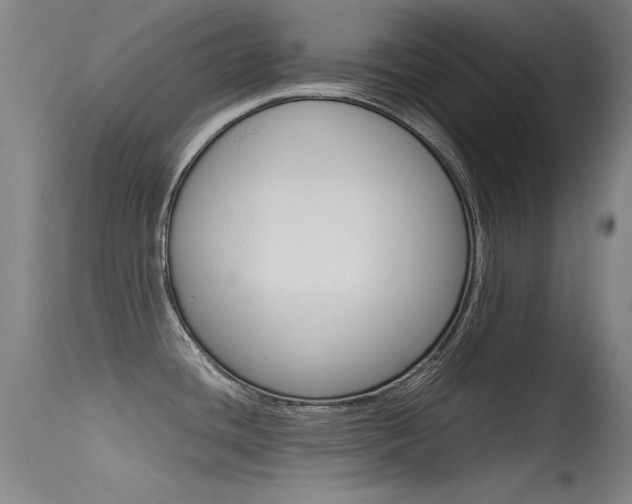 X0000115621436200911101046