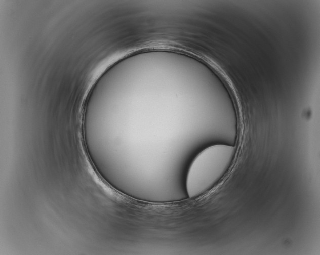 X0000115621437200911101046