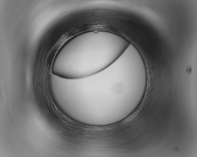 X0000115621438200911101046