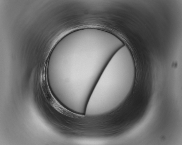 X0000115621439200911101046
