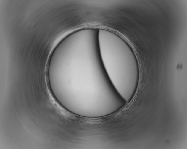 X0000115621440200911101046