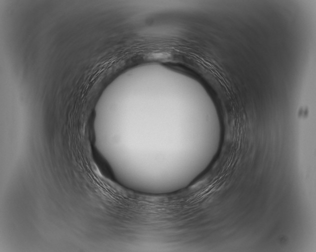 X0000115621441200911101045