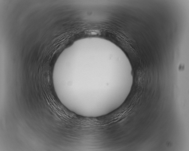 X0000115621442200911101045