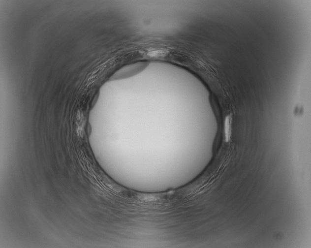 X0000115621443200911101045