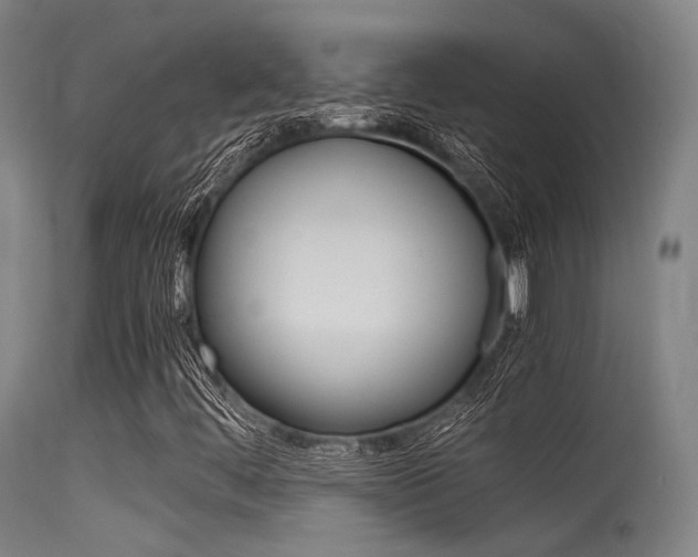 X0000115621444200911101045
