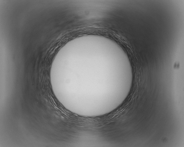 X0000115621445200911101045