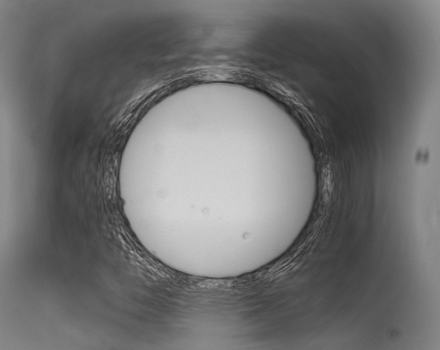 X0000115621446200911101045