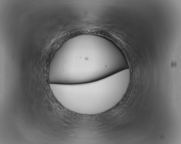 X0000115621447200911101045