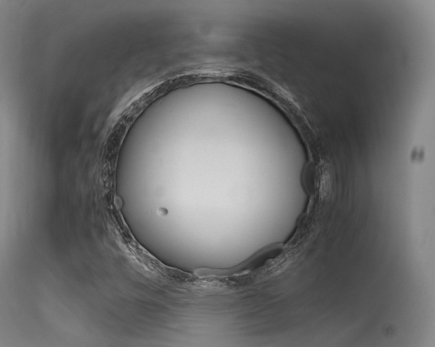 X0000115621448200911101045